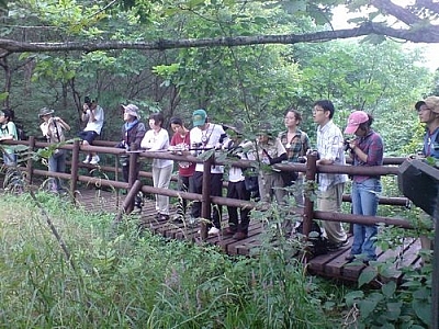 Travel and trekking go together because they bring people together, like here where onlooking Korean tourists are awed by an ecologically sensitive wetland in Jirisan National Park.