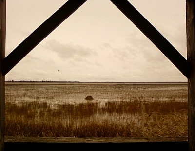 View of a large, open yellow-grass-covered wetland area, outlined by a wooden window frame.