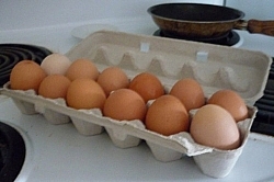 Carton of fresh eggs
