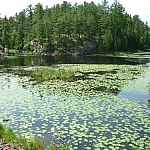 A small pond along Papase Trail, Dokis First Nation.