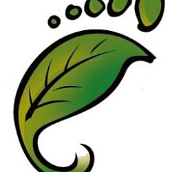 Niackery Eco Footprint