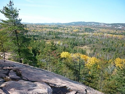 A windswept pine on Granite Ridge leans in the opposite direction as the slant of the hill.