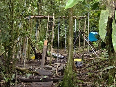 We started building this aviary while I was volunteering at Merazonia.