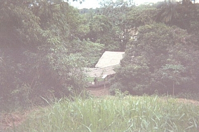 A view of Picaflor's covered walkway from a the backyard hilltop, which is the site of work and play at Picaflor.