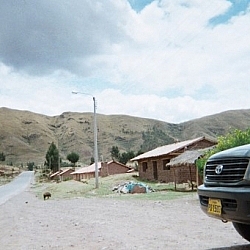 A pig crosses the road outside of Cusco.
