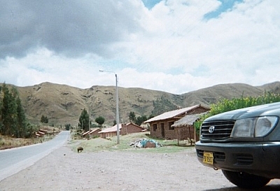 A pig crosses the road outside of Cusco.