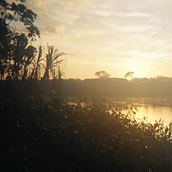 Sunrise over the Tambopata River before a dawn hike, hoping for wildlife sightings at Picaflor Research Centre.