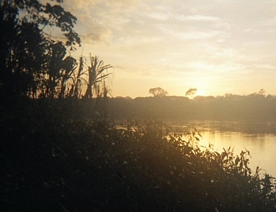 Sunrise over the Tambopata River before a dawn hike, hoping for wildlife sightings at Picaflor Research Centre.