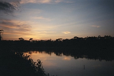 Sunrise over the Tambopata River on my last day at Picaflor.