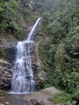 Waterfall in Ecuador's Parque Nacional Podocarpus.
