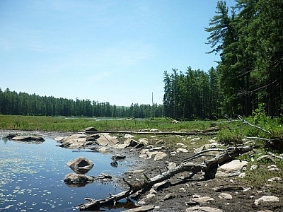 Glacial boulders garden on Algonquin Park's Eastern Pines Trail.