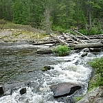 A pile of silvery logs blocks the river behind High Falls.
