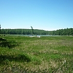 Typical wetland scenery along Algonquin Park's Eastern Pines Trail.