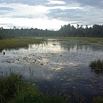 Large wetland and cloudy skies while following the Atakas Trail in Mashkinonje Provincial Park