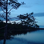 A tree outlined at dusk on Bad River in the French River Delta