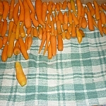 Blanched garden carrots