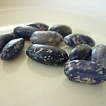 Plate of blue beans