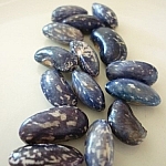 Blue beans from the garden