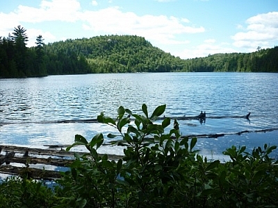 View of one of the Brush Lakes from the McKenzie Interior Trail in Mississagi Provincial Park, photographed during a hiking and paddling trip.