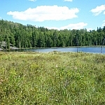 One of the Brush Lakes behind a foreground of tall yellow grasses
