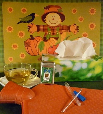 The essentials of cold and flu season include a hot water bottle, a thermometer, tissues, and Canadian Shield tea.