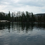 Forested shoreline seen while canoeing in Killarney.