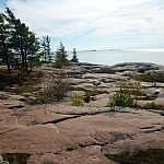 A large, clear area of pink granite rock culminates at a stand of pines on the Georgian Bay shore.