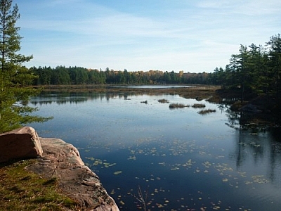 View of the Cranberry Bog, a bit of pink granite rock visible in the foreground.