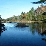 A beaver house in the middle of a small bay of the Cranberry Bog
