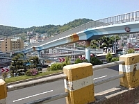 Multiple crosswalks link together and zigzag off into the distance, seen on one of many city walks in Busan.