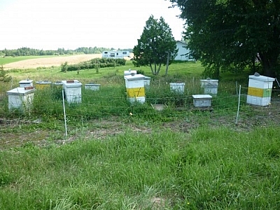 Several wooden boxes stand grouped together in a field.