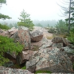 View of the East Lighthouse Trail as it climbs up a rocky slope.
