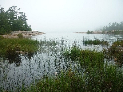 A grassy bay along the Georgian Bay coastline near Killarney's East Lightnouse.