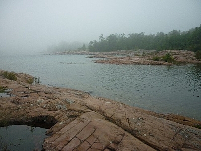 Foggy scenery while day hiking around Killarney's lighthouse.