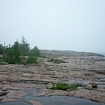 Small green bushes sit atop a pink granite outcrop, the grey skies and waters indistinguishable beyond.
