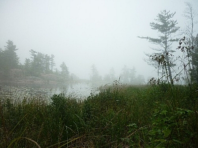 View of a bay in the mist along a grassy shoreline seen while day hiking near Killarney's lighthouse.