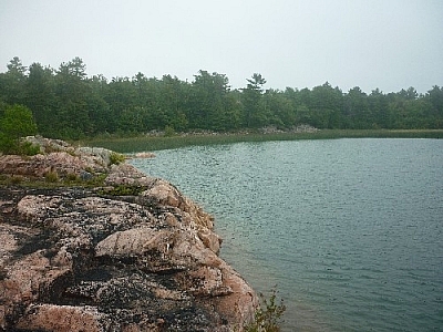 Thick smatterings of black tar on the pink Georgian Bay shoreline.