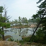 Wetland along the Tar Vat Bay Trail.