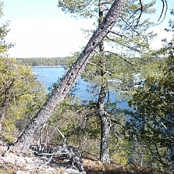 View of French River from a Dokis First Nation hiking trail
