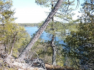 View of French River from a Dokis First Nation hiking trail