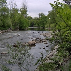 Lower Don River scenery
