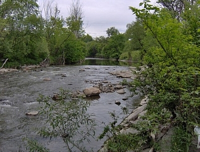 Lower Don River scenery