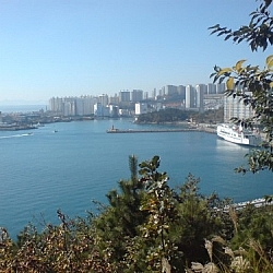 View of Dadaepo Port from Dusong Peninsula, skyscrapers crowding right up to the shore.