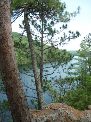 View of the Mattawa River while hiking the History Loop on Etienne Trail.