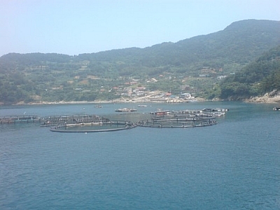 Fishing village where I stayed while exploring Yokji Island.