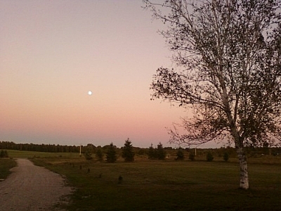 Enjoying the rural scenery while wwoofing at home and watching the moon rising over the fields at dusk.