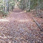 A clear portion of the Granite Ridge Trail.