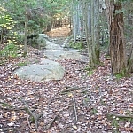 A slightly rugged portion of the Granite Ridge Trail.