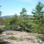 A view of the top of Granite Ridge