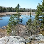 Rocky wetland shores and pine trees at Grundy Lake Park